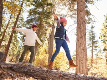 Waldregeln – Kinder balancieren auf einem trockenen Baumstamm.