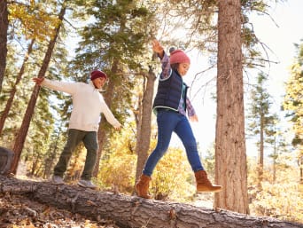 Bosregels - kinderen balanceren op een droge boomstam.