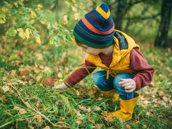Regeln im Wald für Kinder – Kind sieht sich einen Pilz im Wald an.