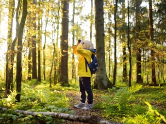 Gestes citoyens environnement : enfant observe les oiseaux dans la forêt avec des jumelles.