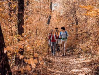 Wandelen voor beginners: Wandelgroep wandelt op een pad in het bos. Wandelen voor beginners: Wandelgroep wandelt op een pad in het bos.