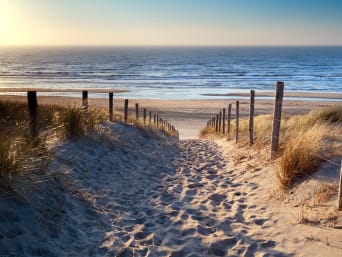 Kustpad wandelen – Langs de kust in Noord-Holland.
