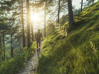 Respecter l’environnement pendant un sport de plein air – Un homme randonne sur un sentier forestier.
