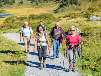 Vierdaagse training en voorbereiding: groep mensen wandelt door de natuur. 