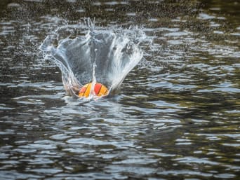 Kanupolo: Orangefarbener Poloball landet beim Spielen im Wasser.