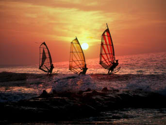 Windsurfen: Eine Gruppe von Windsurfern surft gemeinsam auf dem Meer.