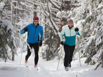 Les skieurs de fond traversent une forêt enneigée.