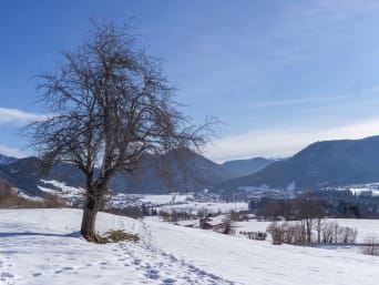 Top Skigebiete Deutschland: Blick auf Schneelandschaft in Reit im Winkl.