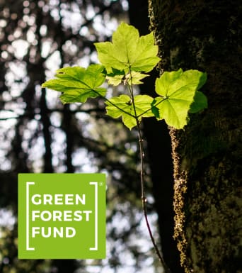 Green Forest Fund