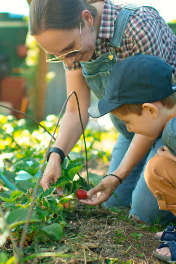 Guida al giardinaggio con i bambini – madre e figlio raccolgono le fragole.