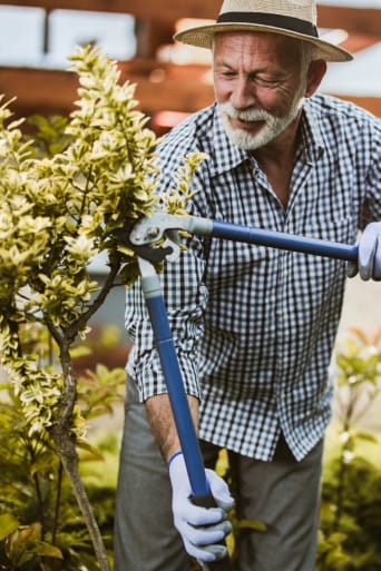 Guida al giardinaggio – Un uomo pota un alberello.