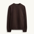 Pullover & Sweatshirts