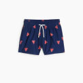 Swim trunks & Shorts for boys
