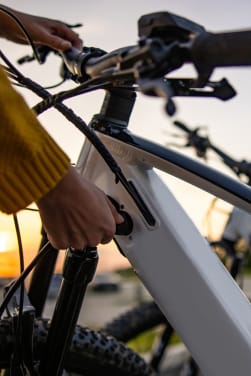 E-bike, pedelec e cargo bike