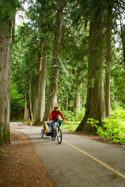 Vater unternimmt mit seinem Kind eine Radtour durch den Wald.