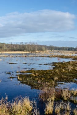 Fietsvakantie in Drenthe