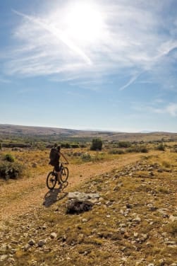 Turismo de bicicleta por Navarra: un ciclista recorriendo un paraje navarro.