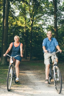 Fietsroute in Noord-Brabant