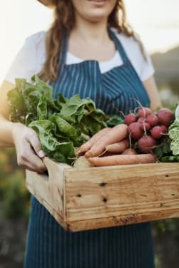 Un jardin potager en permaculture