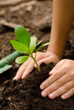 Tuinieren met kinderen