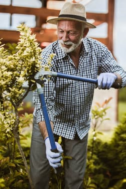 Sicurezza in giardino