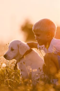 Das richtige Haustier für Kinder