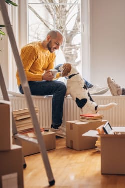 Een hond als huisdier: voorbereiding en administratie