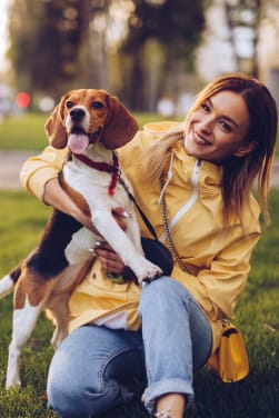 Dagelijks leven met een hond