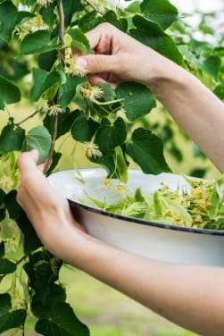 Gustare la natura con i bambini