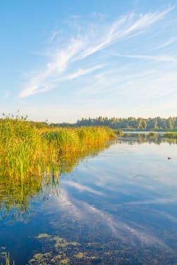 Outdoor-activiteiten aan de Oostvaardersplassen