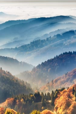 Aktivurlaub im Schwarzwald