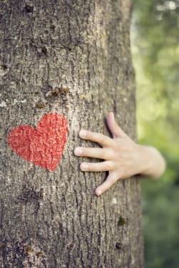 Natuurbescherming bij buitenactiviteiten