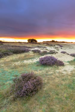 Buitenactiviteiten op de Veluwe