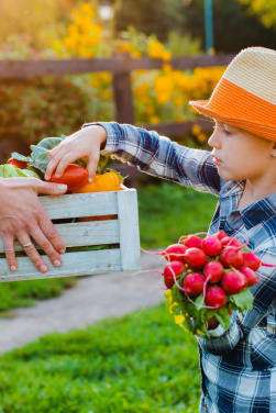 Alimentazione sostenibile spiegata ai bambini