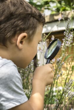 Dieren in de tuin bekijken met kinderen