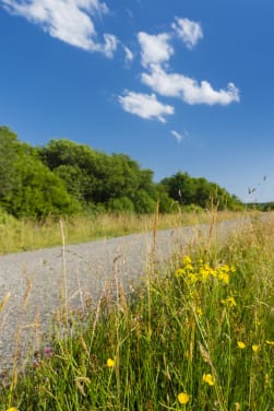 Vakantie Ardennen met kinderen: met het gezin naar de natuur