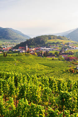 Familienurlaub in Niederösterreich