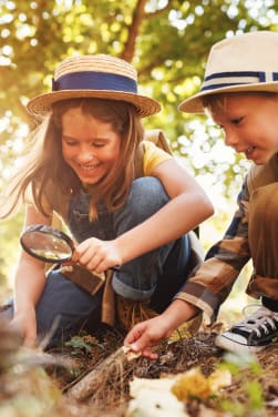 Expériences scientifiques en forêt pour enfant