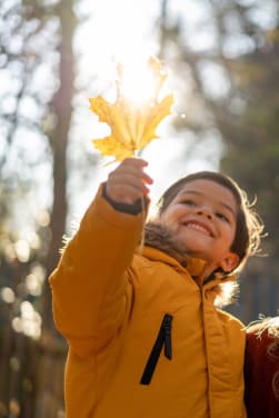 Alle seizoenen in het bos ontdekken met kinderen