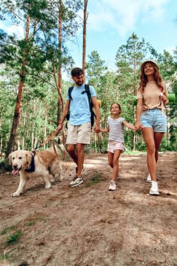 Regels in het bos voor kinderen