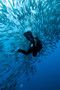 Snorkeling e immersione