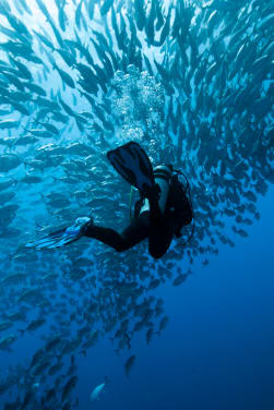 Buceo y esnórquel