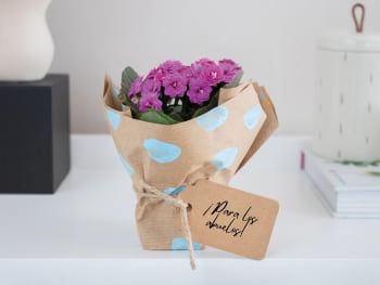 Regalo para el Día de los Abuelos: una planta con flores envuelta con papel de regalo hecho por los nietos.