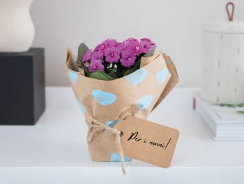 Regali per la Festa dei Nonni: un vaso con i fiori è incartato con carta pacco decorata e con una targhetta.