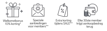 Aanbiedigen