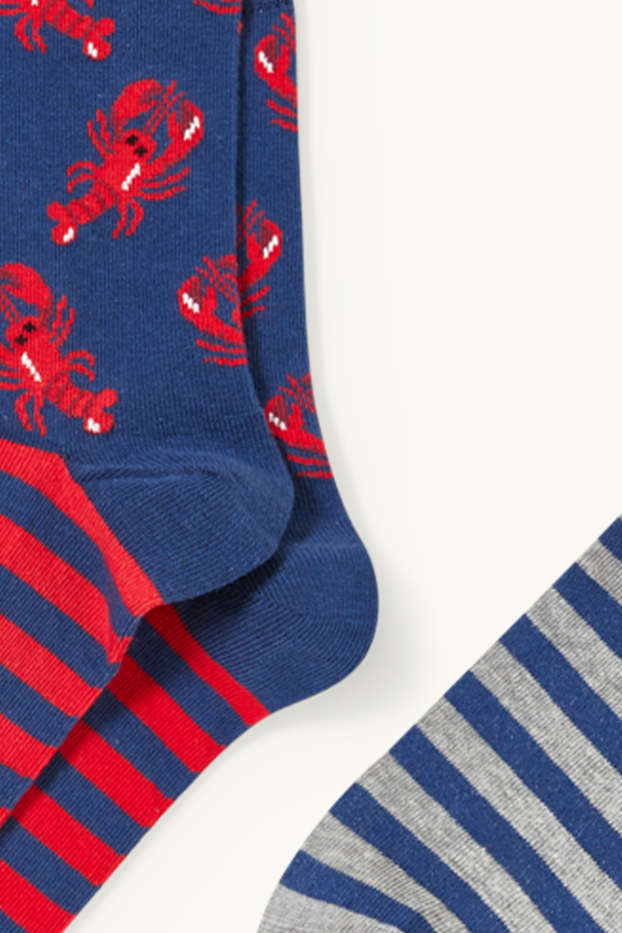 Men - Multipack of 2 - socks with motif - shell animals - LYCRA® - blue / gray