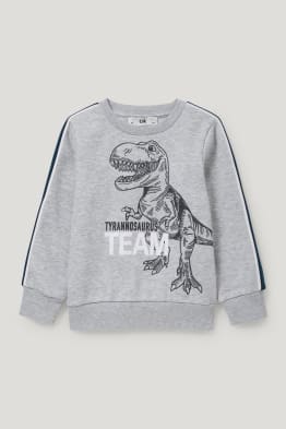 Dinosaurios - sudadera