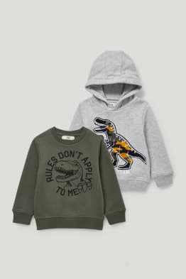Set van 2 - dino - hoodie en sweatshirt