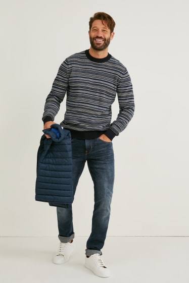 Heren - Trui - gestreept - donkerblauw