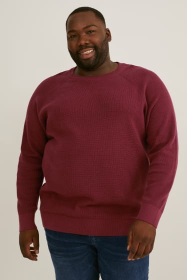 Hommes grandes tailles - Pull - bordeaux